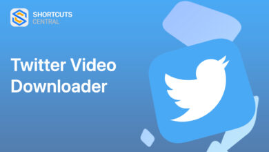 Photo of Twitter Video Downloader